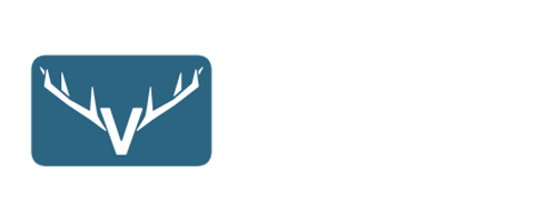 Vista Auto